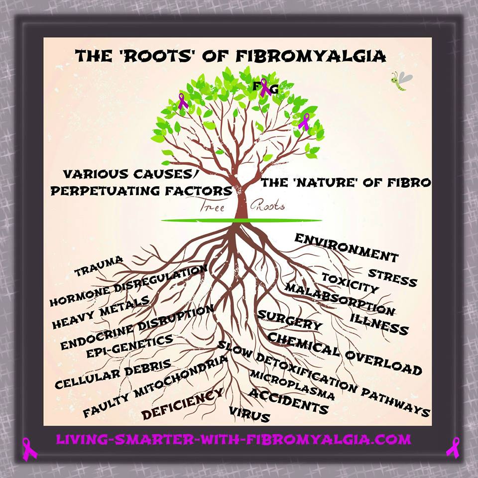 The Roots of Fibromyalgia - graphic credit living-smarter-with-fibromyalgia.com